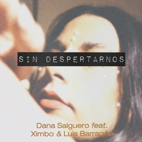 Portada de Sin despertarnos